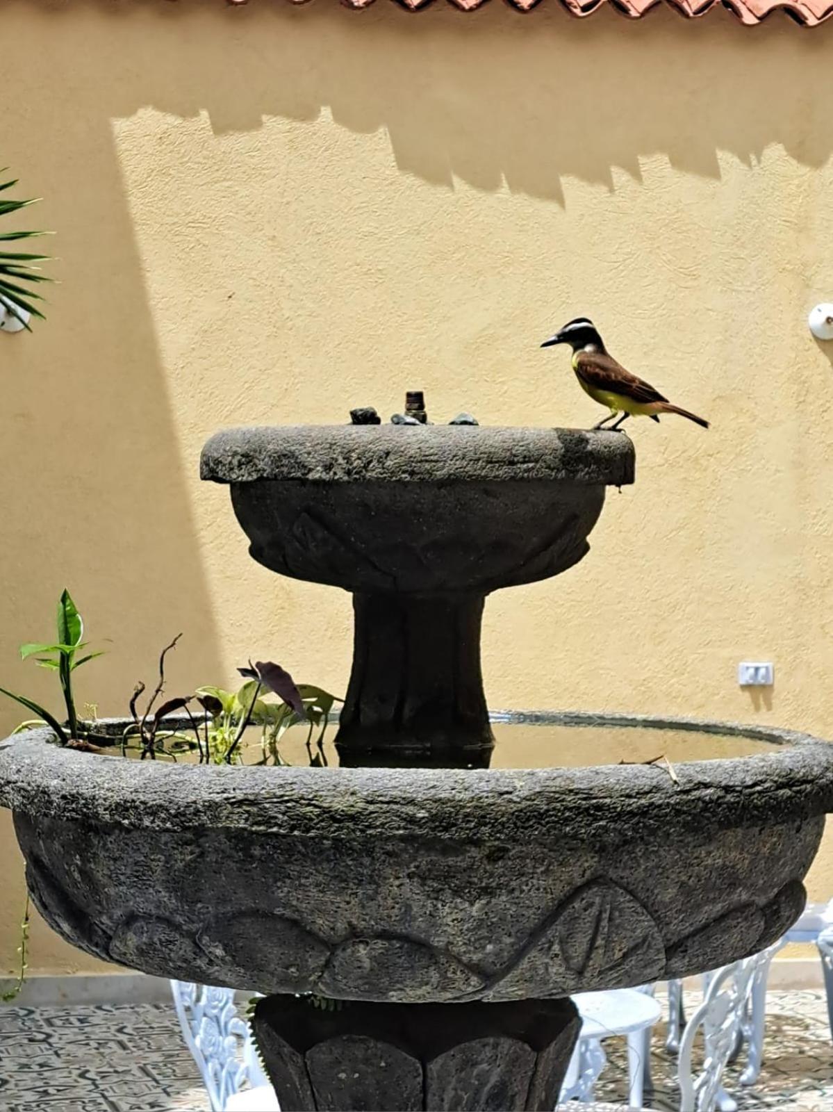 Casa Sileo - Boutique Hotel Cali Exterior photo